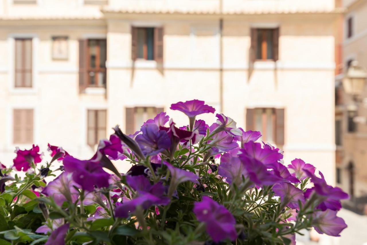 Buongiorno Colosseo Rome Exterior photo